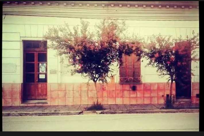 Foto